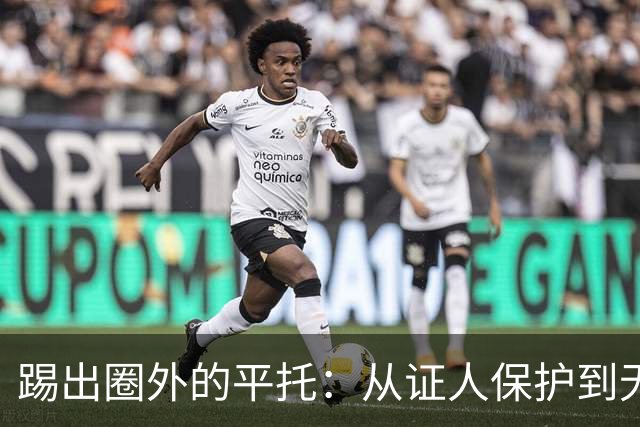 踢出圈外的平托：从证人保护到无人问津